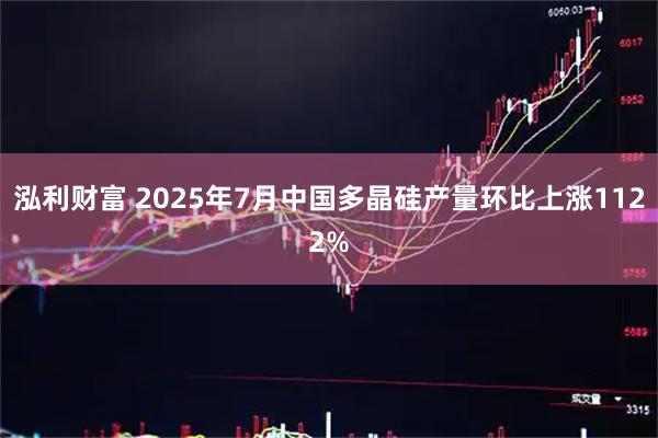 泓利财富 2025年7月中国多晶硅产量环比上涨1122%