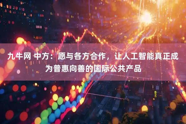 九牛网 中方：愿与各方合作，让人工智能真正成为普惠向善的国际公共产品